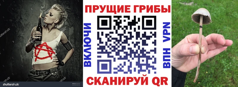 Галлюциногенные грибы MAGIC MUSHROOMS  Циолковский 
